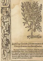 An illustration from D. And. Alciati Emblemata; denvo ab ipso autore recognita, ac quae desiderabantur, imaginibus locupletata; accesserunt noua aliquot ab autore emblemata suis quoq[ue] eiconibus insignita (1566)