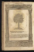 An illustration from D. And. Alciati Emblemata; denvo ab ipso autore recognita, ac quae desiderabantur, imaginibus locupletata; accesserunt noua aliquot ab autore emblemata suis quoq[ue] eiconibus insignita (1566)