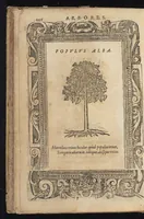 Picture 5 of 5 from D. And. Alciati Emblemata; denvo ab ipso autore recognita, ac quae desiderabantur, imaginibus locupletata; accesserunt noua aliquot ab autore emblemata suis quoq[ue] eiconibus insignita (1566), leaf 229
