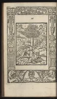 An illustration from La morosophie de Guillaume de la Perriere, Tolosain, Contenant Cent Emblemes moraux, illustrez de Cent Tetrastiques Latins, reduitz en autant de Quatrains Françoys (1553)