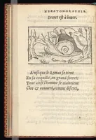 An illustration from Hecatongraphie : c'est à dire la description de cent figures & hystoires, cõtenas̃ plusieurs apophtegmes, prouerbes, sentences & ditz, tant des anciens, que des modernes (1548)