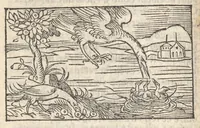 An illustration from Hecatongraphie : c'est à dire la description de cent figures & hystoires, cõtenas̃ plusieurs apophtegmes, prouerbes, sentences & ditz, tant des anciens, que des modernes (1548)