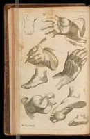An illustration from Polygraphice: or The arts of drawing, engraving, etching, limning, painting, washing, varnishing, gilding, colouring, dying, beautifying and perfuming. : In four books ... to which is added a discourse of perspective and chiromancy ... (1675)
