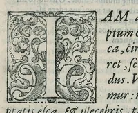 An illustration from Io. Bapt. Portae Neapolitani Magiae natvralis libri XX (1589)