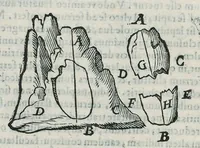 An illustration from Io. Bapt. Portae Neapolitani Magiae natvralis libri XX (1589)