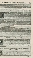 Picture 15 of 45 from Io. Bapt. Portae Neapolitani Magiae natvralis libri XX (1589), leaf 156
