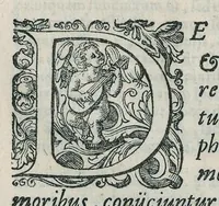 An illustration from Io. Bapt. Portae Neapolitani Magiae natvralis libri XX (1589)