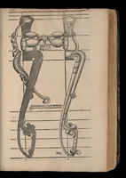 An illustration from Gründtlicher Bericht von allem was zu der Reutterei gehörig, und einem Cavallier davon .. (1609)