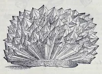 Picture 9 of 61 from Historia natvrale (1672), leaf 574