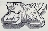 An illustration from Historia natvrale (1672)