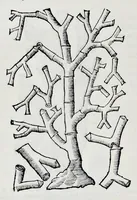 Picture 27 of 61 from Historia natvrale (1672), leaf 641
