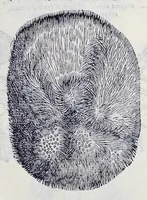 Picture 52 of 61 from Historia natvrale (1672), leaf 698