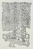 An illustration from Historia natvrale (1672)