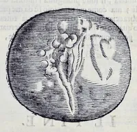 An illustration from Historia natvrale (1672)