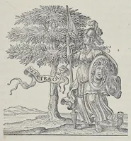 Picture 14 of 21 from L'architecture militaire moderne, ou, Fortification : confirmée par diverses histoires tant anciennes que nouvelles, & enrichie des figures des principales forteresses qui sont en l'Europe (1648), leaf 716