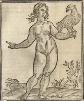 Picture 235 of 359 from Iconologia di Cesare Ripa perugino, caualier de' santi Mauritio & Lazaro. Divisa in tre libri, ne i quali si esprimono varie imagini di virtù, vitij, passioni humane, affetti, atti, discipline, humori, elementi, corpi celesti, prouincie d'Italia, fiumi, & altre materie infinite vtili ad ogni stato di persone. Ampliata dal sig. cav. Gio. Zaratino Castellini romano in questa vltima editione di imagini & discorsi, con indici copiosi, & ricorretta (1669), leaf 492