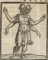 Picture 240 of 359 from Iconologia di Cesare Ripa perugino, caualier de' santi Mauritio & Lazaro. Divisa in tre libri, ne i quali si esprimono varie imagini di virtù, vitij, passioni humane, affetti, atti, discipline, humori, elementi, corpi celesti, prouincie d'Italia, fiumi, & altre materie infinite vtili ad ogni stato di persone. Ampliata dal sig. cav. Gio. Zaratino Castellini romano in questa vltima editione di imagini & discorsi, con indici copiosi, & ricorretta (1669), leaf 505