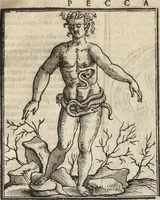 Picture 253 of 359 from Iconologia di Cesare Ripa perugino, caualier de' santi Mauritio & Lazaro. Divisa in tre libri, ne i quali si esprimono varie imagini di virtù, vitij, passioni humane, affetti, atti, discipline, humori, elementi, corpi celesti, prouincie d'Italia, fiumi, & altre materie infinite vtili ad ogni stato di persone. Ampliata dal sig. cav. Gio. Zaratino Castellini romano in questa vltima editione di imagini & discorsi, con indici copiosi, & ricorretta (1669), leaf 538