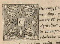 An illustration from Le jardin de plaisir : contenant plusieurs desseins de jardinage tant parterres en broderie, compartiments de gazon, que bosquets & autres : avec vn abbregé de l'agriculture, touchant ce qui peut estre le plus vtile & necessaire a la construction & accompagnement dudict jardin de plaisir : composé & divisé en onze chapitres (1651)