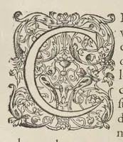 Picture 37 of 55 from Les images ou tableaux de platte peinture des deux Philostrates sophistes grecs, et Les statues de Callistrate (1615), leaf 635