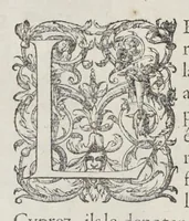 Picture 8 of 55 from Les images ou tableaux de platte peinture des deux Philostrates sophistes grecs, et Les statues de Callistrate (1615), leaf 91