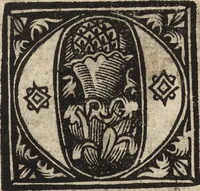 An illustration from Dits die excellente Cronike vā vlaenderē Beghinnende vā Liederick Buc den eersten Forestier tot dē laetstē, die door haer vrome feytē, namaels Grauē vā Vlaendrē ghemaect wordē, achteruolghende die rechte afcomste der voorsz grauē, tot desen onsen doorluchtichstē hoochghborē Keyser Karolo altijt v'meerder des rijcx geborē te Ghendt, etc (1531)