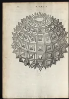 An illustration from La pratica della perspettiva : opera molto vtile a pittori, a scvltori, & ad architetti : con due tauole, una de' capitoli principali, l'altra delle cose piu notabili contenue nella presente opera (1568)