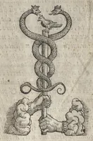 An illustration from La pratica della perspettiva : opera molto vtile a pittori, a scvltori, & ad architetti : con due tauole, una de' capitoli principali, l'altra delle cose piu notabili contenue nella presente opera (1568)