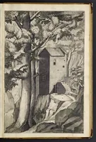 Picture 8 of 23 from Descrizione del sacro monte della Vernia (1612), leaf 38