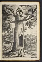 An illustration from Descrizione del sacro monte della Vernia (1612)