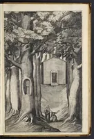 Picture 19 of 23 from Descrizione del sacro monte della Vernia (1612), leaf 82