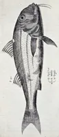 Picture 25 of 26 from Aqvatilium animalivm historiæ, liber primvs : cum eorvmdem formis, ære excvsis (1554), leaf 490