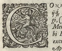An illustration from Phytobasanos, sive plantarvm aliqvot historia : in qva describvntvr diversi generis plantæ veriores, ac magis facie, viribúsque respondentes antiquorum Theophrasti, Dioscoridis, Plinij, Galeni, aliorúmque delineationibus, ab alijs hucusque non animaduersæ (1592)