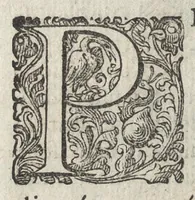 An illustration from Phytobasanos, sive plantarvm aliqvot historia : in qva describvntvr diversi generis plantæ veriores, ac magis facie, viribúsque respondentes antiquorum Theophrasti, Dioscoridis, Plinij, Galeni, aliorúmque delineationibus, ab alijs hucusque non animaduersæ (1592)