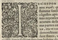 An illustration from Phytobasanos, sive plantarvm aliqvot historia : in qva describvntvr diversi generis plantæ veriores, ac magis facie, viribúsque respondentes antiquorum Theophrasti, Dioscoridis, Plinij, Galeni, aliorúmque delineationibus, ab alijs hucusque non animaduersæ (1592)