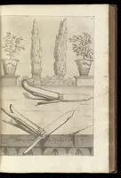 Picture 4 of 12 from Hesperides, siue, De malorum aureorum cultura et vsu libri quatuor (1646), leaf 134