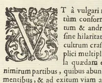 An illustration from Hesperides, siue, De malorum aureorum cultura et vsu libri quatuor (1646)