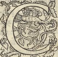 Picture 19 of 291 from L'histoire de la natvre des oyseavx : avec levrs descriptions, & naïfs portraicts retirez du natvrel, escrite en sept livres (1555), leaf 106