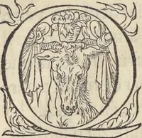 An illustration from L'histoire de la natvre des oyseavx : avec levrs descriptions, & naïfs portraicts retirez du natvrel, escrite en sept livres (1555)