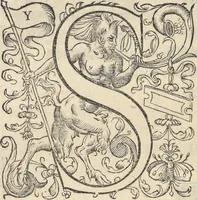 An illustration from L'histoire de la natvre des oyseavx : avec levrs descriptions, & naïfs portraicts retirez du natvrel, escrite en sept livres (1555)