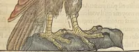 An illustration from L'histoire de la natvre des oyseavx : avec levrs descriptions, & naïfs portraicts retirez du natvrel, escrite en sept livres (1555)