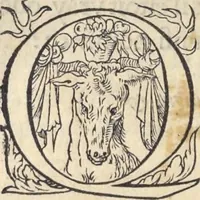 Picture 31 of 291 from L'histoire de la natvre des oyseavx : avec levrs descriptions, & naïfs portraicts retirez du natvrel, escrite en sept livres (1555), leaf 127