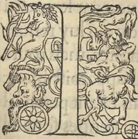 An illustration from L'histoire de la natvre des oyseavx : avec levrs descriptions, & naïfs portraicts retirez du natvrel, escrite en sept livres (1555)
