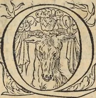 An illustration from L'histoire de la natvre des oyseavx : avec levrs descriptions, & naïfs portraicts retirez du natvrel, escrite en sept livres (1555)