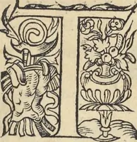 An illustration from L'histoire de la natvre des oyseavx : avec levrs descriptions, & naïfs portraicts retirez du natvrel, escrite en sept livres (1555)