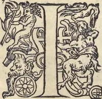 An illustration from L'histoire de la natvre des oyseavx : avec levrs descriptions, & naïfs portraicts retirez du natvrel, escrite en sept livres (1555)