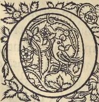 An illustration from L'histoire de la natvre des oyseavx : avec levrs descriptions, & naïfs portraicts retirez du natvrel, escrite en sept livres (1555)