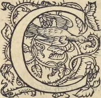 Picture 72 of 291 from L'histoire de la natvre des oyseavx : avec levrs descriptions, & naïfs portraicts retirez du natvrel, escrite en sept livres (1555), leaf 175