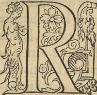 Picture 73 of 291 from L'histoire de la natvre des oyseavx : avec levrs descriptions, & naïfs portraicts retirez du natvrel, escrite en sept livres (1555), leaf 176