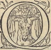 An illustration from L'histoire de la natvre des oyseavx : avec levrs descriptions, & naïfs portraicts retirez du natvrel, escrite en sept livres (1555)